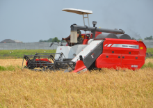 Moissonneuse-batteuses Massey Ferguson MF 2168