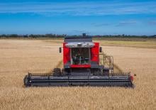 Moissonneuse-batteuses Massey Ferguson MF 4690