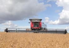 Moissonneuse-batteuses Massey Ferguson MF 9795
