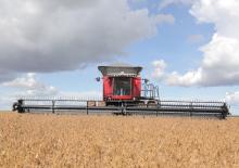 Moissonneuse-batteuses Massey Ferguson MF 9895