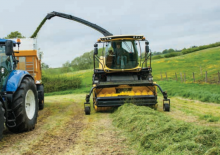 Moissonneuses-batteuses ramassage New Holland 300 HP Paddles