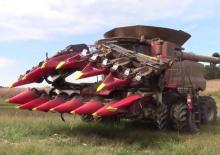 Moissonneuses-batteuses ramasseuses de maïs Geringhoff 12 soros