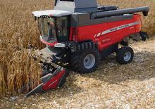 Moissonneuses-batteuses ramasseuses de maïs Massey Ferguson CF 675F 