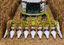 Moissonneuses-batteuses ramasseuses de maïs Claas Corio 575 C