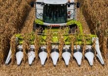 Moissonneuses-batteuses ramasseuses de maïs Claas Corio 870 C