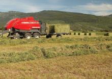 Presses de grandes balles + à haute pression Massey Ferguson MF 2190 SP