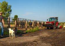 Tracteurs 4WD Massey Ferguson MF 1765 M MC 