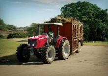 Tracteurs 4WD Massey Ferguson MF 5455 Edition LPF