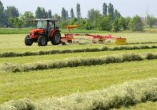 Tracteurs 4WD SAME Natural Gold 50