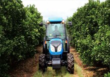 Tracteurs roues arrière Landini 85F Techno