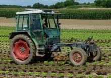Tracteurs roues arrière Fendt F 360 GTF
