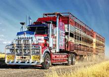 Tracteurs routiers Kenworth T909 50” Aero roof X15 6x4