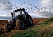 Tracteurs 4WD Lamborghini R 6.135 DCR 4V