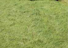 Tracteurs 4WD DEUTZ-FAHR Agroplus 320 DT