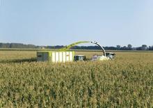 Ensileuses - traction 4 roues Claas Jaguar 940