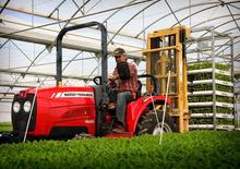 Tracteurs 4WD Massey Ferguson MF 1529 MA