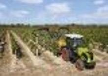 Tracteurs 4WD Claas Nexos 220 VL