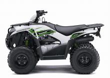 Véhicules tout-terrain et Quads Kawasaki BRUTE FORCE 300 