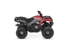Véhicules tout-terrain et Quads Yamaha GRIZZLY 110