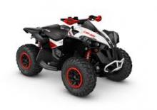 Véhicules tout-terrain et Quads can-am RENEGADE 570