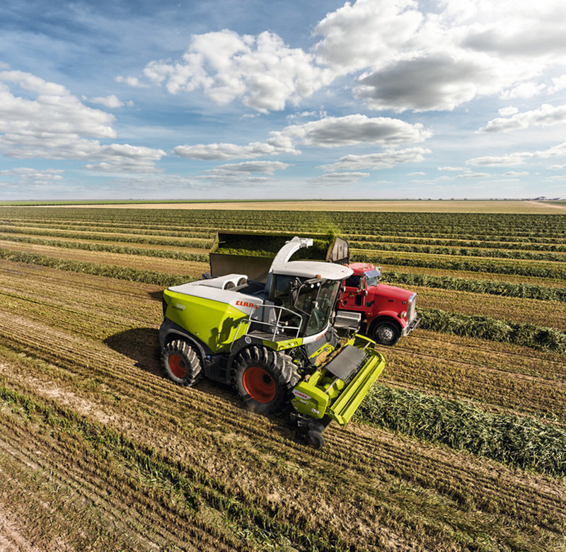 Claas jaguar 830
